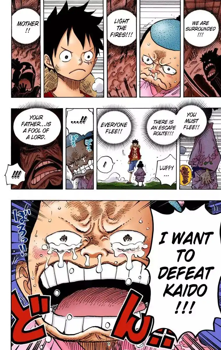 One Piece - Digital Colored Comics Chapter 819 10